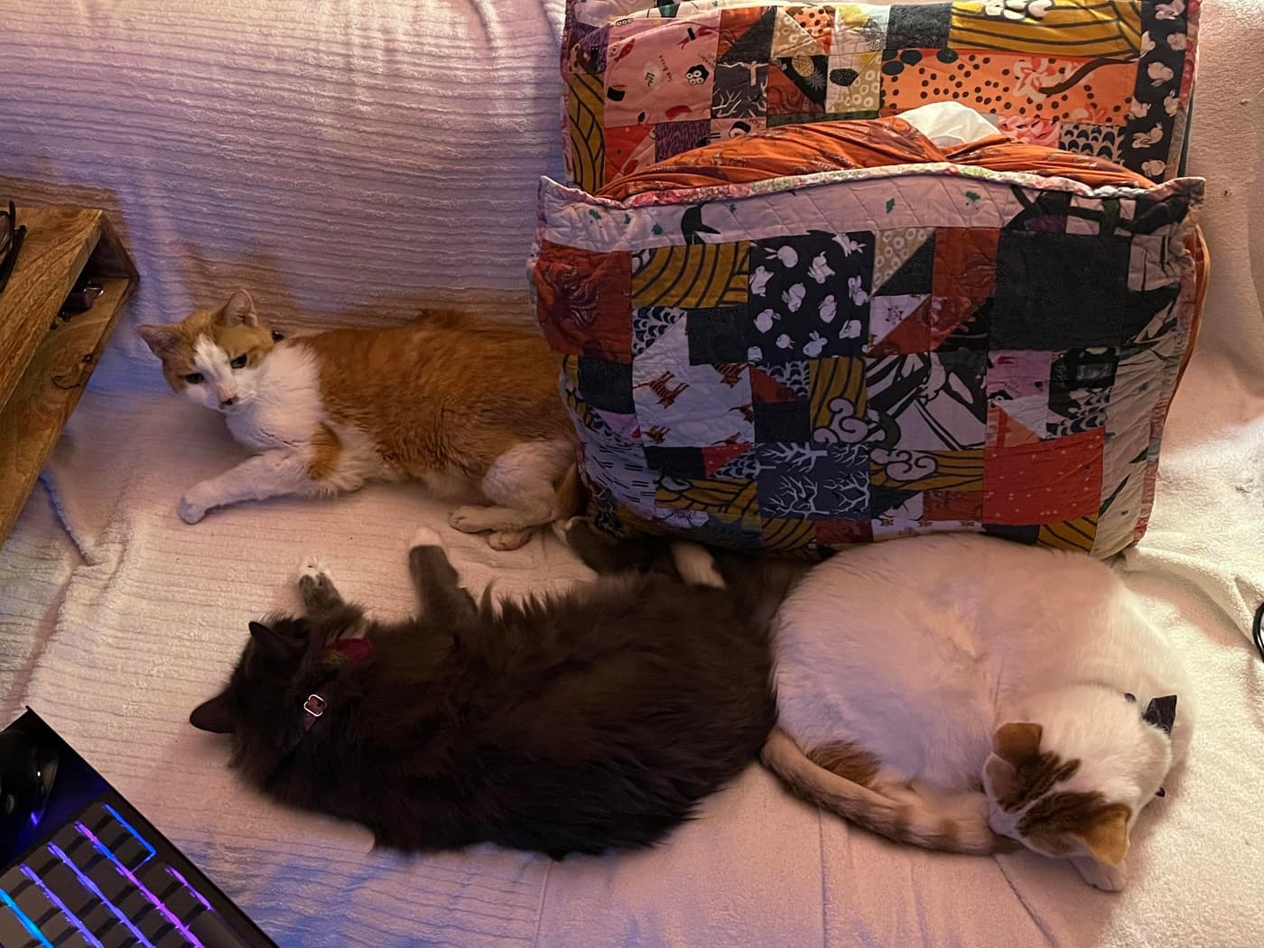 Three cats are lounging on a white blanket. One orange-and-white cat is sitting upright on the left, while a fluffy gray cat and another white-and-orange cat are sleeping curled up on the right. Colorful pillows are stacked in the background.