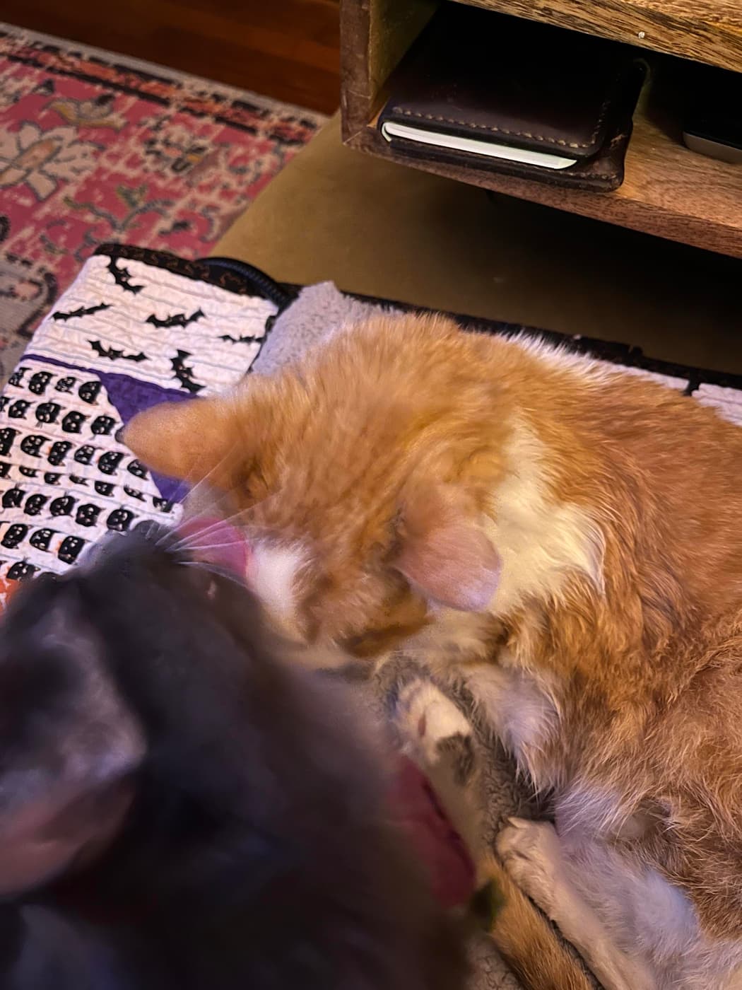 Two cats snuggling together on a patterned blanket. One cat is ginger-colored with white fur, and the other is gray and bathing the first cat