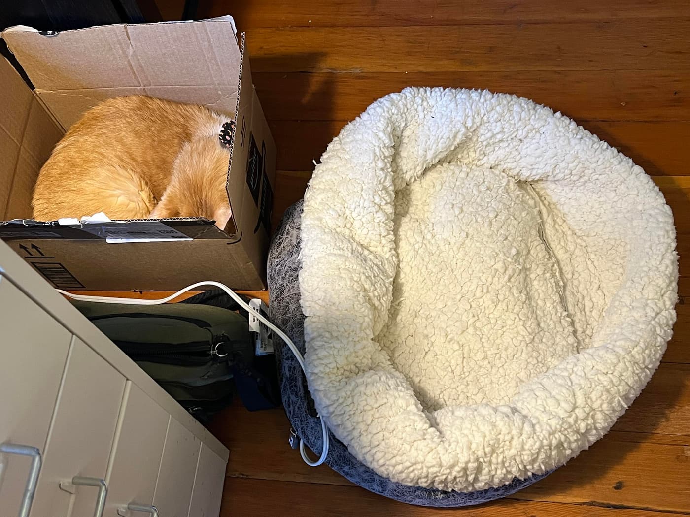 An orange cat is curled up and sleeping in a cardboard box, while a fluffy white pet bed sits nearby on a wooden floor