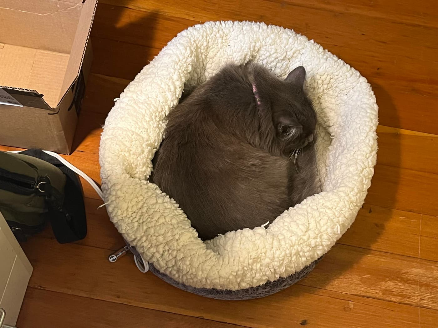 A gray cat is curled up and resting in a cozy pet bed lined with fluffy material