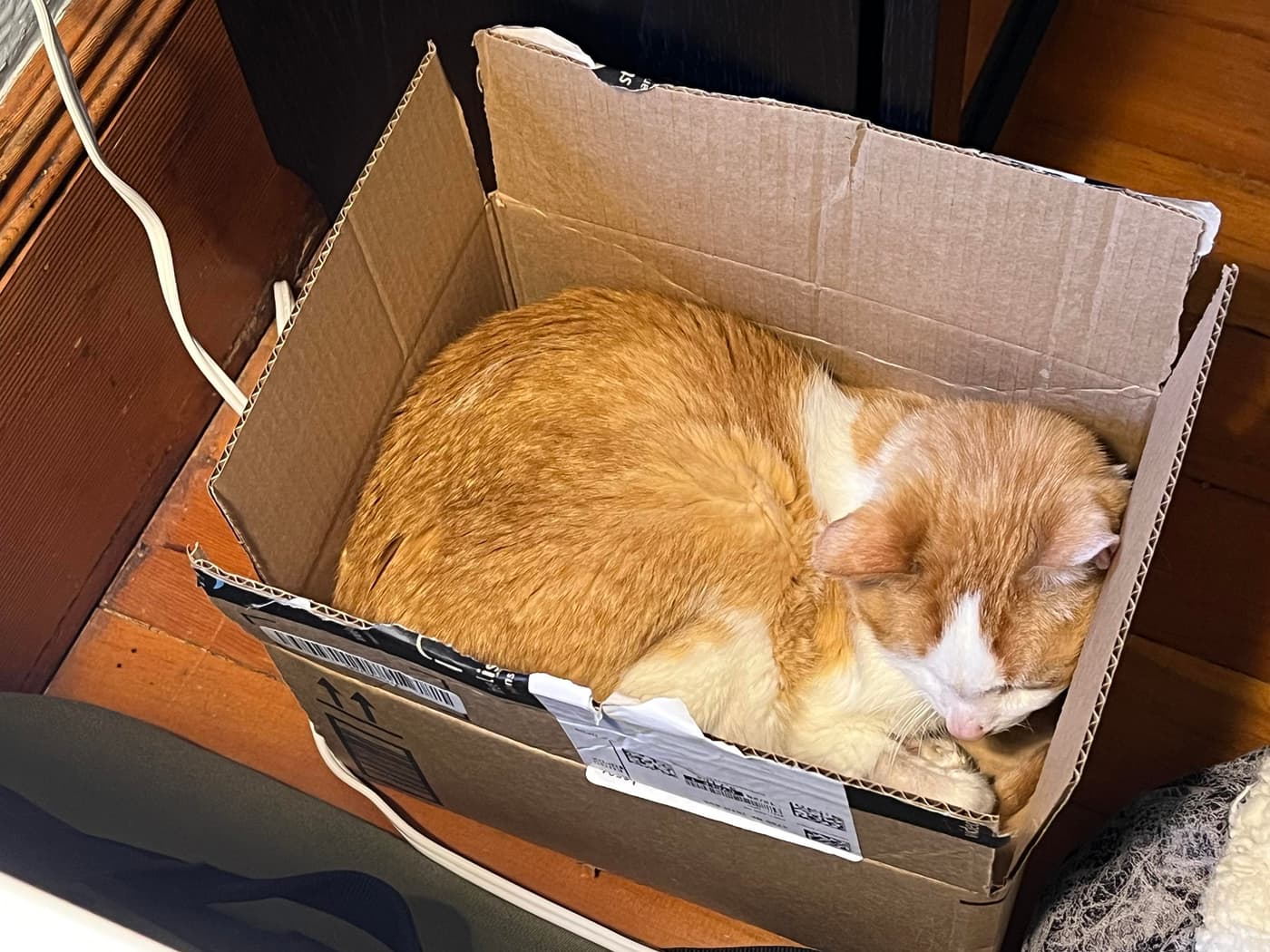 A sleeping orange and white cat curled up inside a cardboard box, placed next to a wooden surface