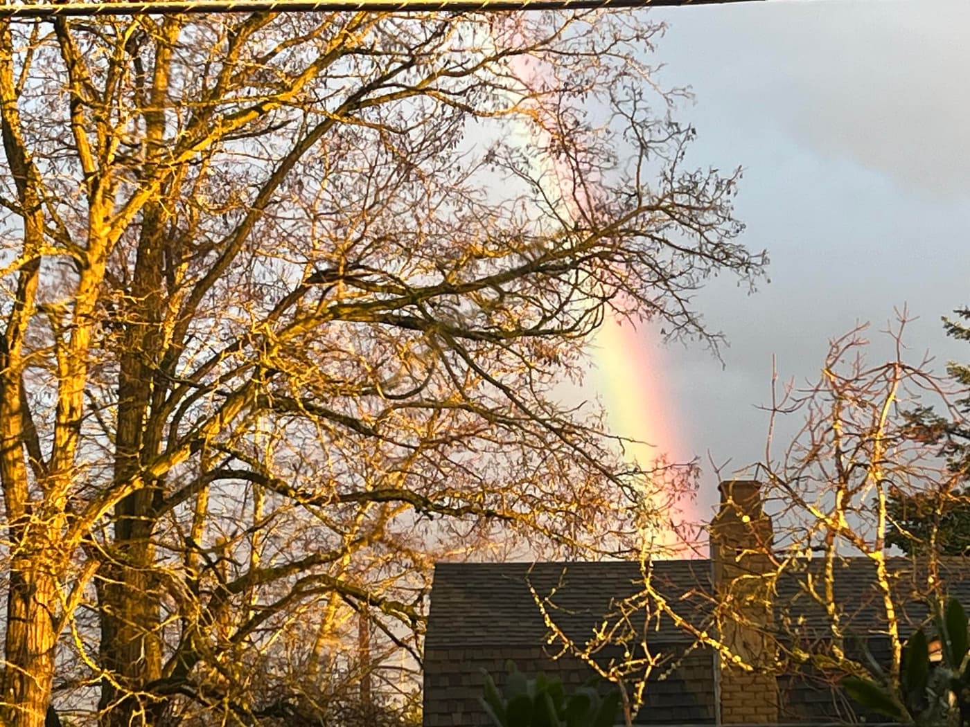 A rainbow arcs behind bare trees and rooftops, illuminated by golden sunlight against a cloudy sky