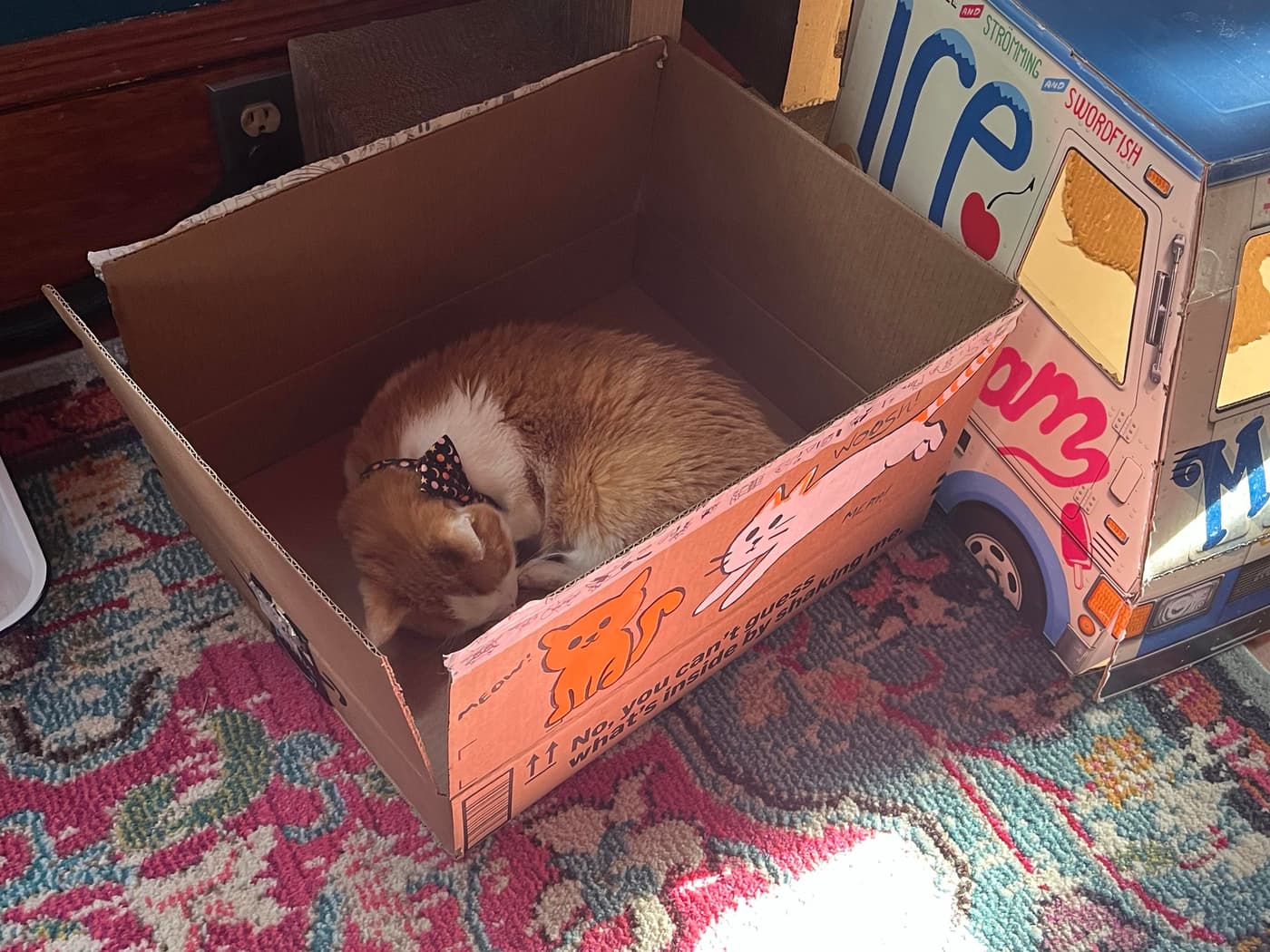 An orange cat with a black polka dot collar sleeping in a cardboard box decorated with cat illustrations