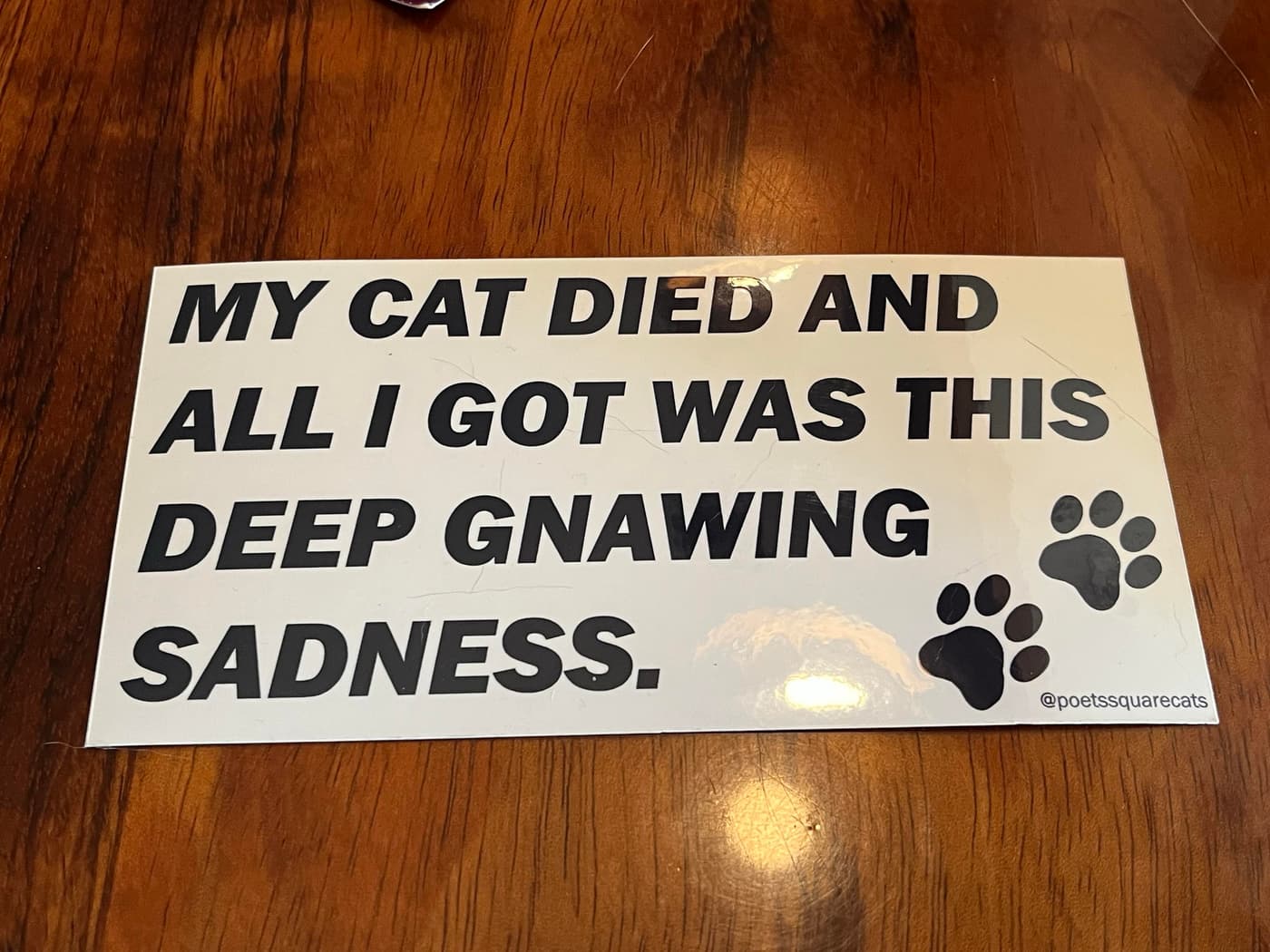 A sticker on a wooden surface featuring the text: "MY CAT DIED AND ALL I GOT WAS THIS DEEP GNAWING SADNESS." Two paw prints are included at the bottom, along with the handle "@poetssquarecats."
