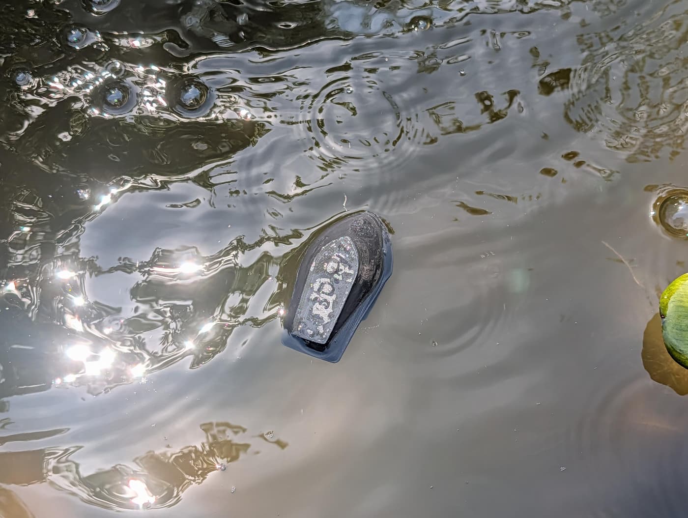 A capsized Benchy floating in dark, sun-dappled water