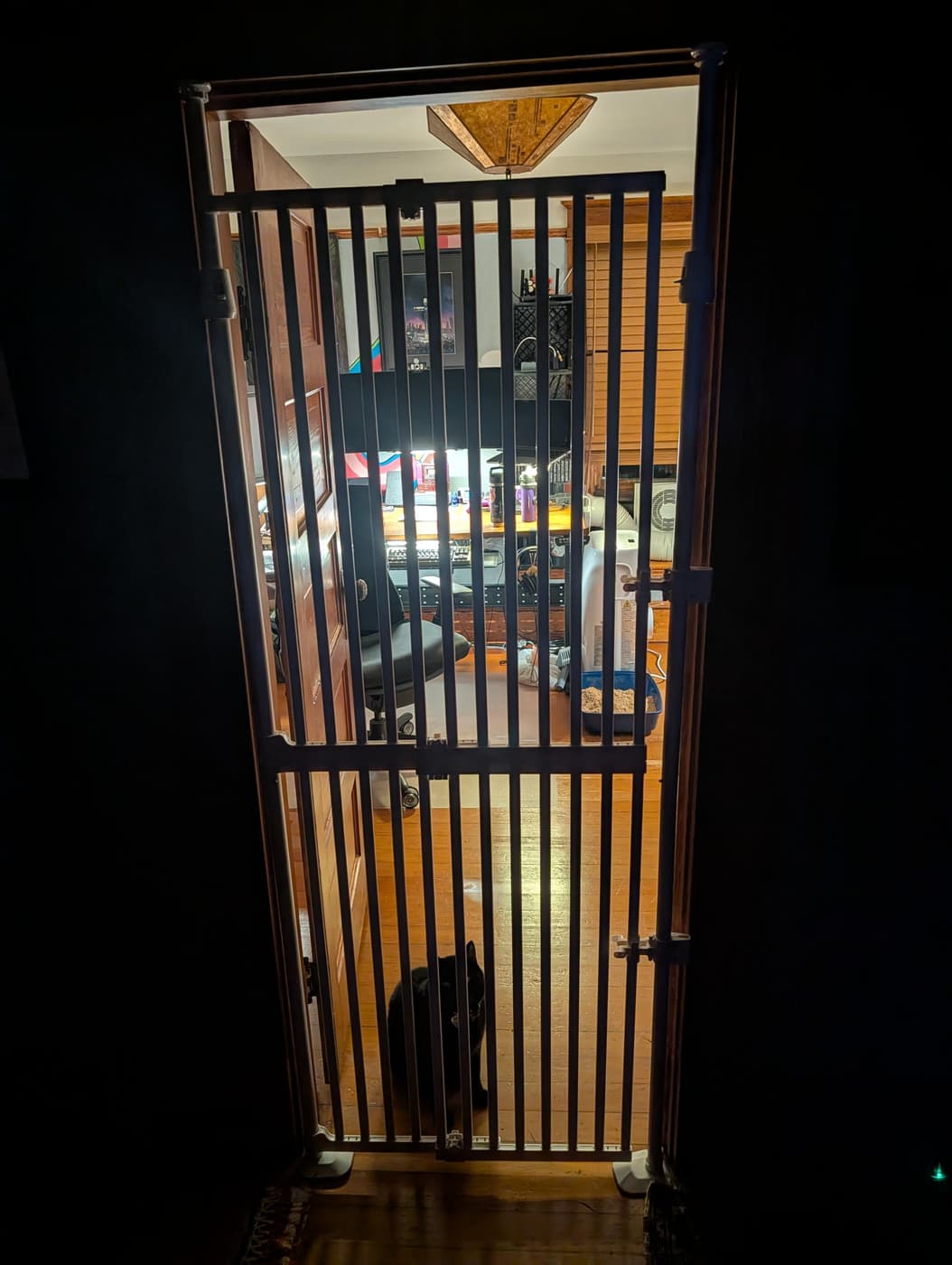 A black cat sits behind a tall pet gate in a doorway, looking out from a lit room into the dark.